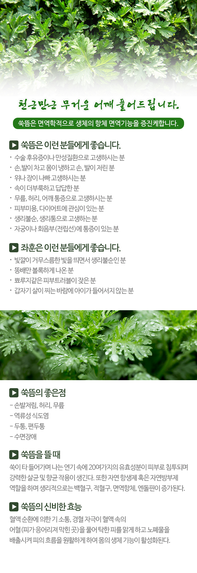 쑥마을쑥뜸_
